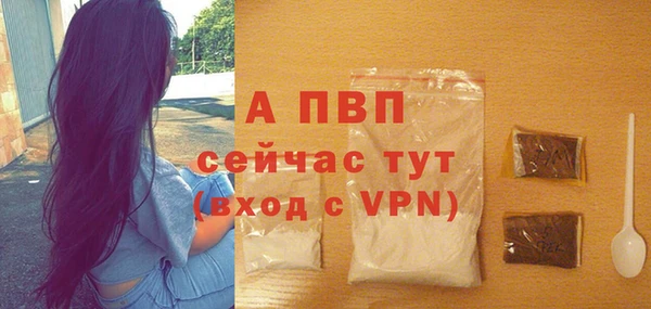 спиды Осинники