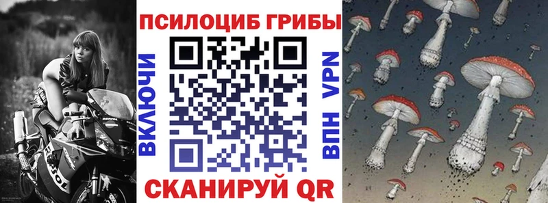 Галлюциногенные грибы Magic Shrooms  где купить наркоту  Александров 