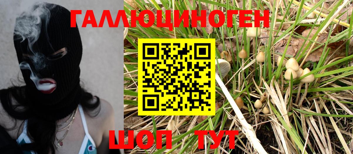 Псилоцибиновые грибы ЛСД  Александров 