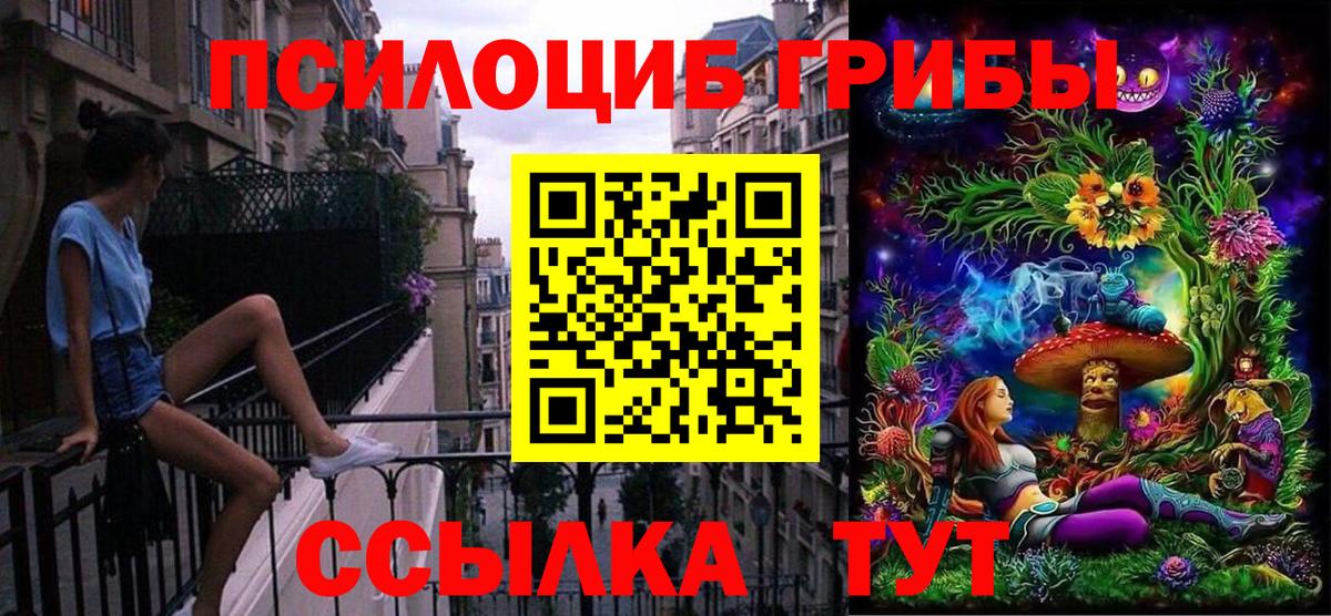 Псилоцибиновые грибы MAGIC MUSHROOMS Александров