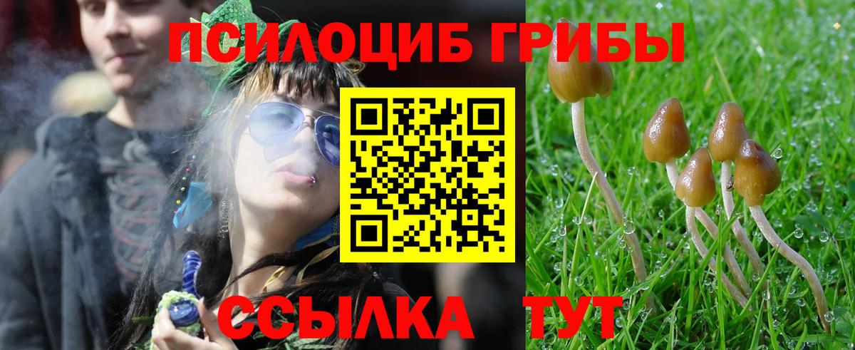 Галлюциногенные грибы мицелий  Вход с VPN  Александров 