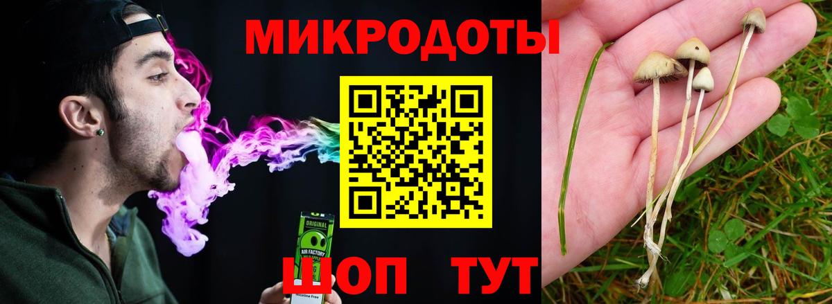 Псилоцибиновые грибы MAGIC MUSHROOMS  Вход с VPN  Александров 